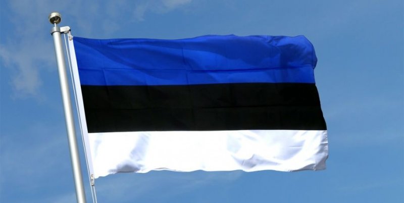 Естонія припиняє видавати росіянам ВНЖ та навчальні візи
