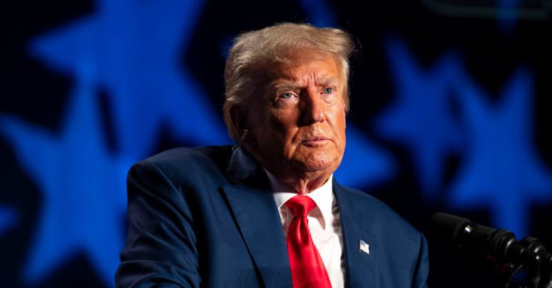 Трамп про рідкісноземельні метали в Україні – «вони чудові, одні з найкращих у світі»