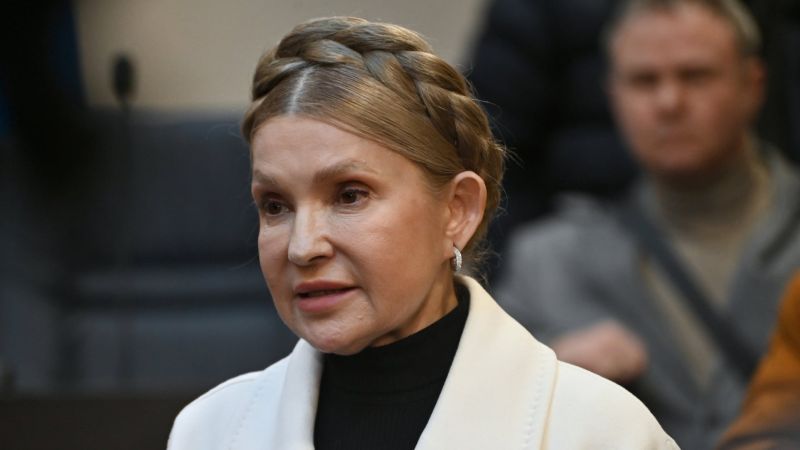 ВАКС арештував частину майна чоловіка Тимошенко
